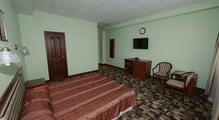 Гостиница Аврора Новосибирск Номер стандарт с 1 двуспальной кроватью (с завтраком)-1